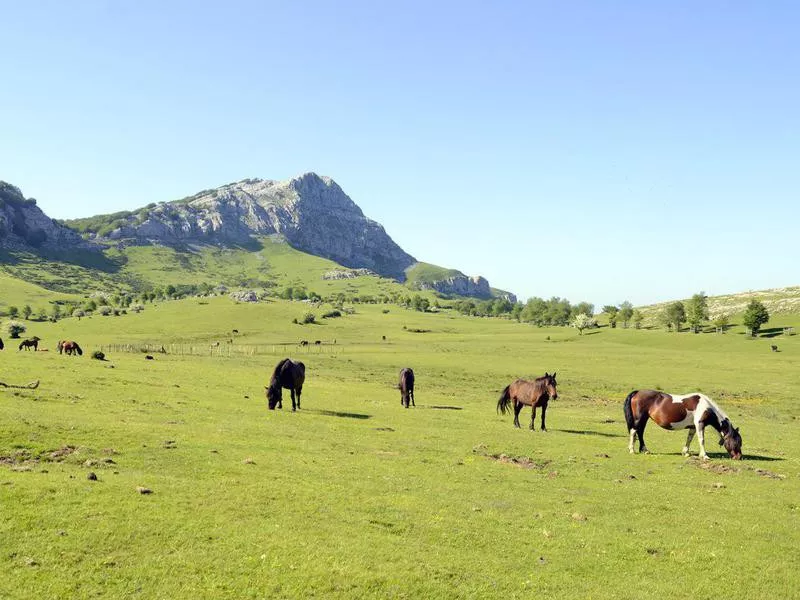 Gorbeia Natural Park