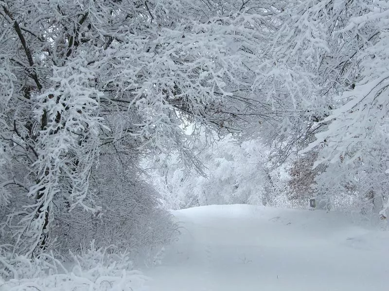 Wisconsin winter