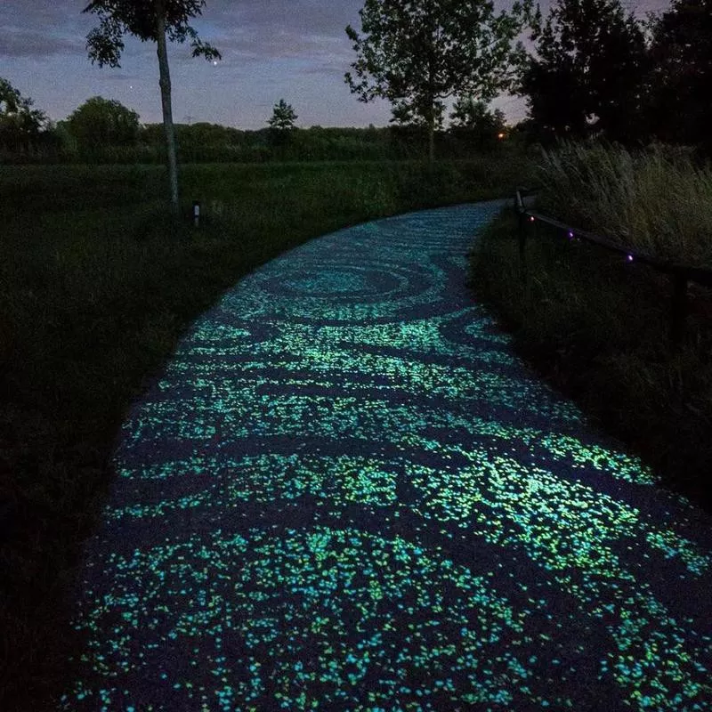 Van Gogh Bicycle Path