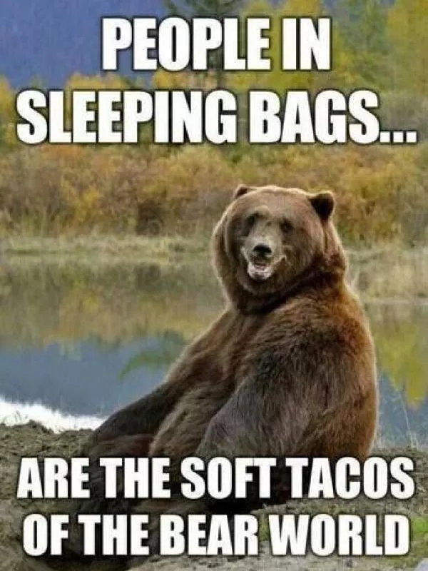 Hungry bear camping meme