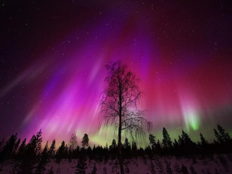 Northern Lights