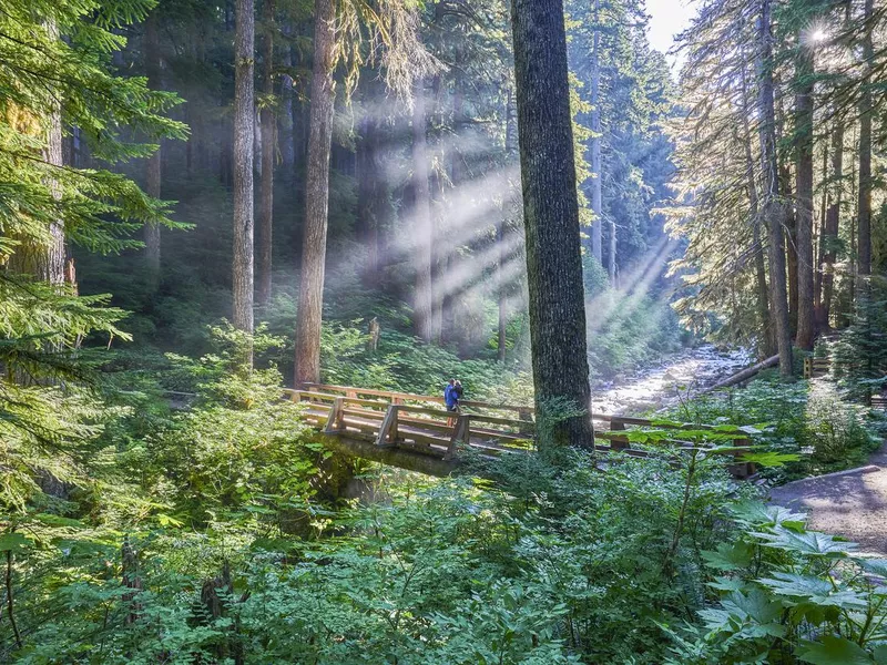 Sol Duc Falls in the Unique Scenery of the Sol Duc River Valley in the Beautiful Olympic National Park in Western Washington State USA.