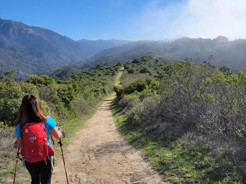 Andrew Molera State Park