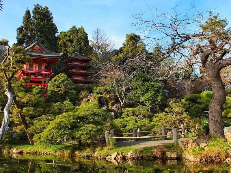 Golden Gate Park