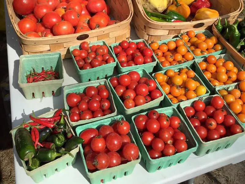 Fresh produce at the Newport Farmers Market