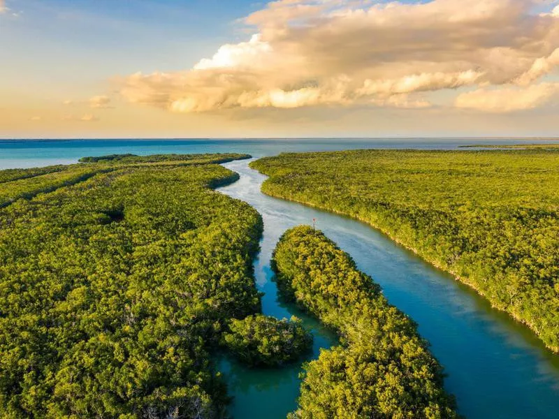 Everglades National Park, Florida