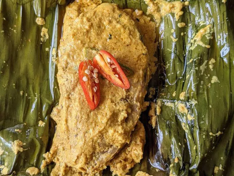 Ilish macher paturi