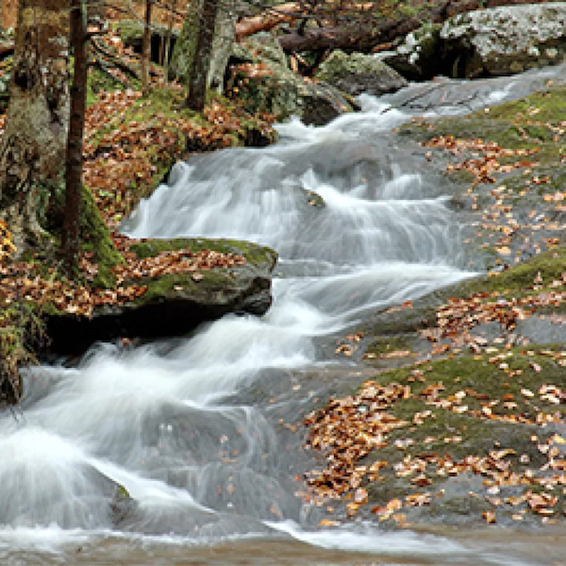 Cunningham Falls