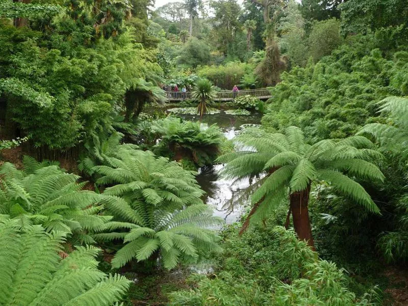 Heligan