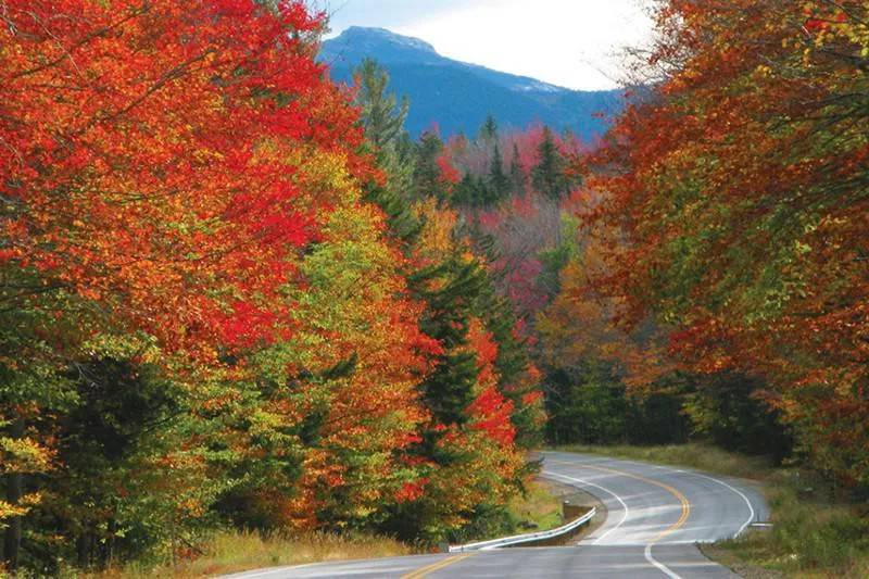 Fall Foliage Drive