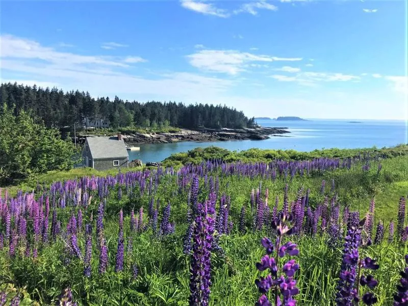 Penobscot Bay, Acadia National Park