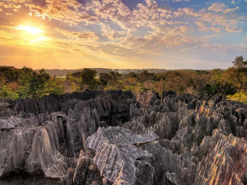 Madagascar nature