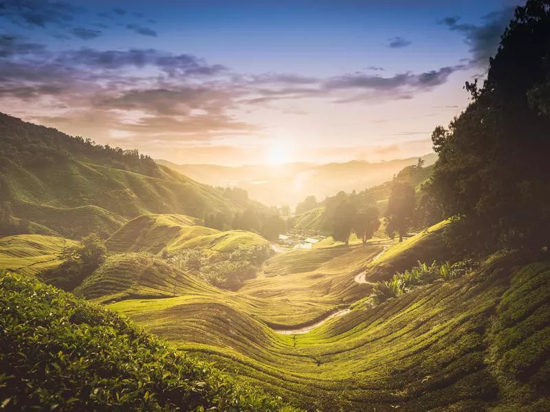 Malaysian countryside