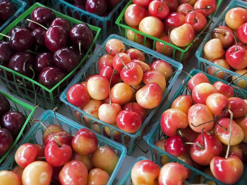 Rainier Cherries