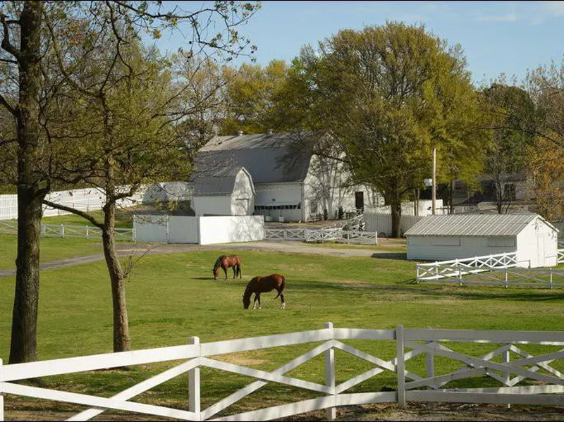 The Barn and Stables