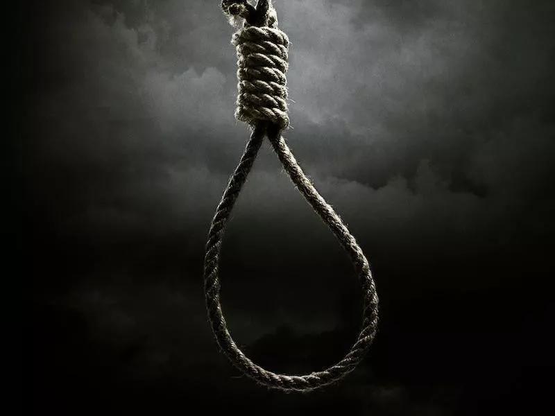 Noose