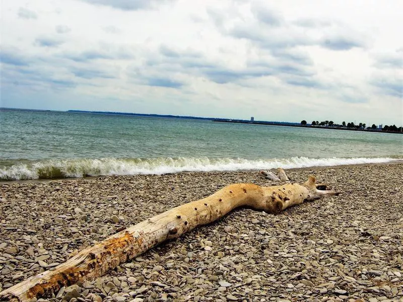 Pebbles in Milwaukee beach