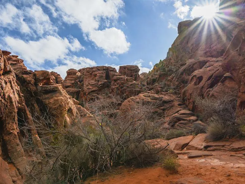 Red Rock Canyon