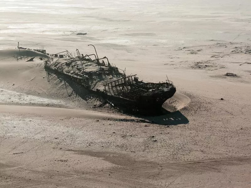 Skeleton Coast