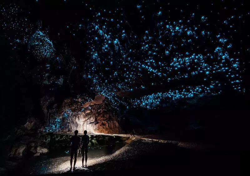 Waitomo Caves, New Zealand