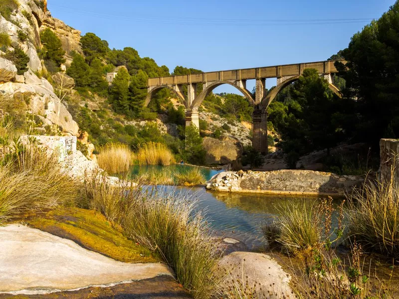 fuente caputa mula swimming in Spain