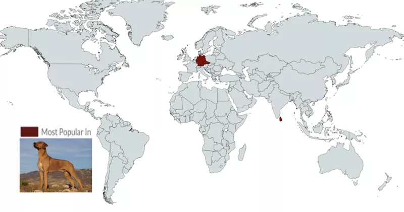 Rhodesian Ridgeback map