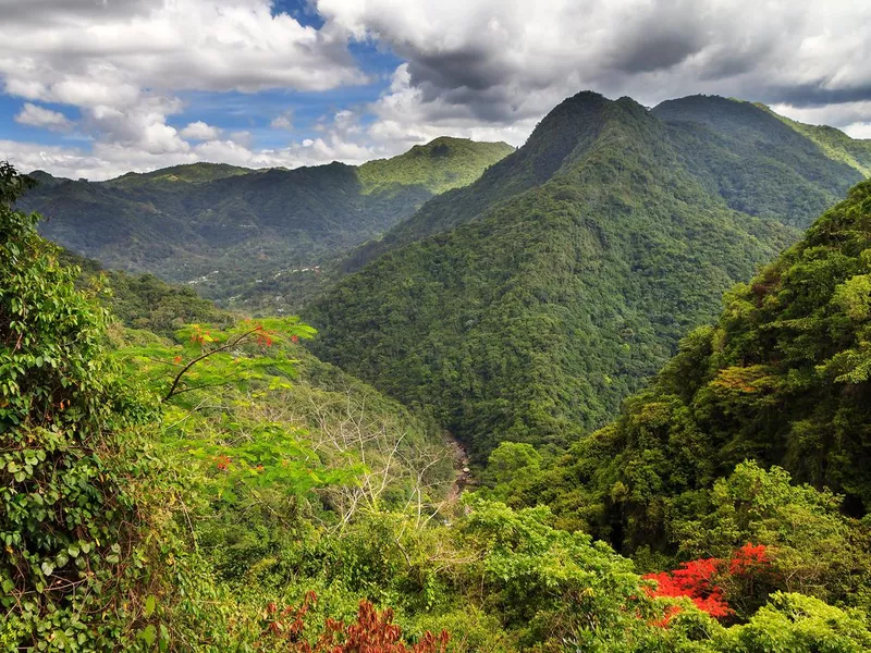 El Yunque National Rainforest