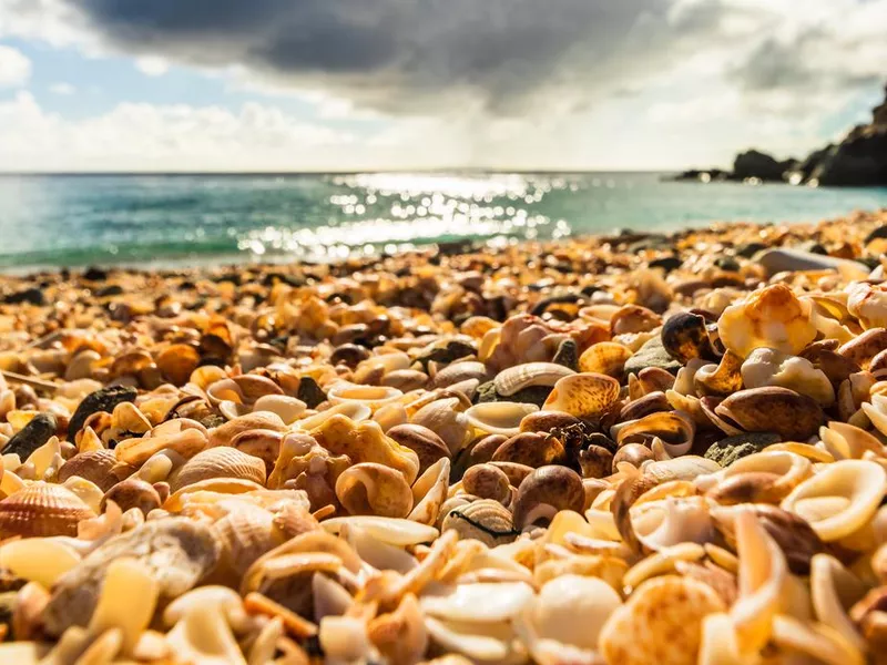 Shell Beach, St. Barts