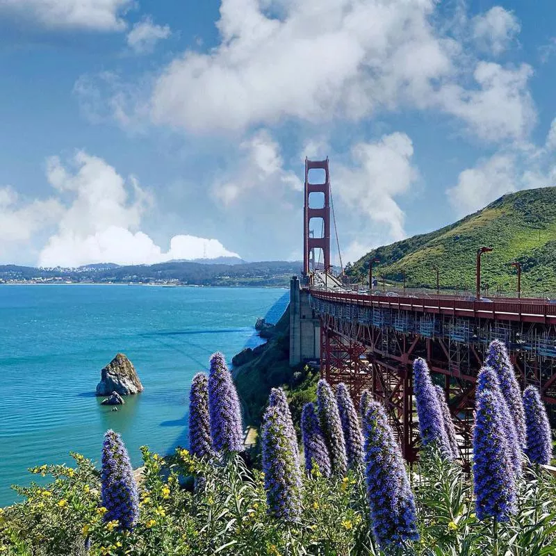 Baker Beach