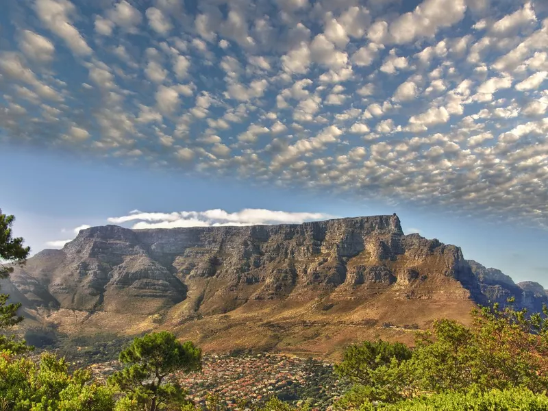 Table Mountain National Park