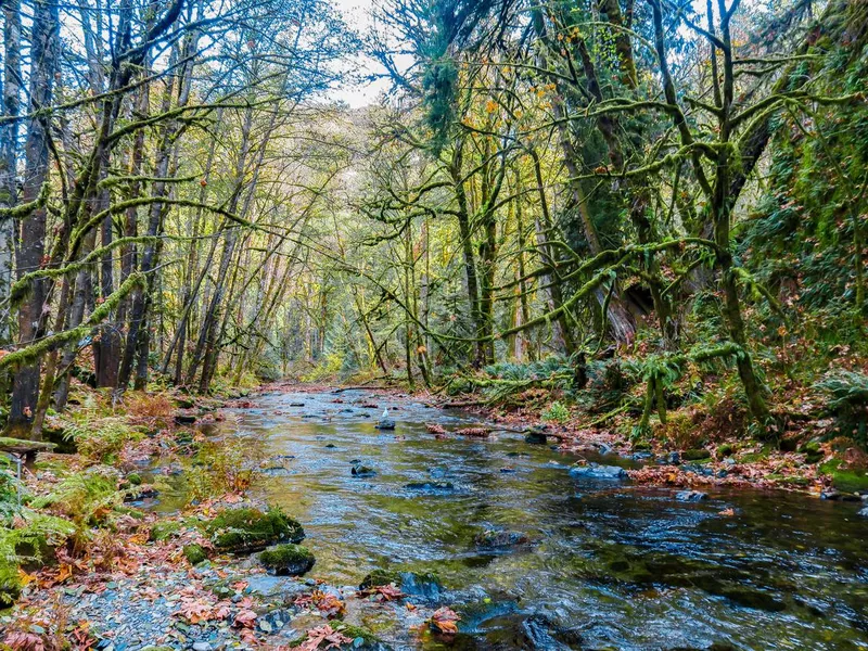 The Canadian River