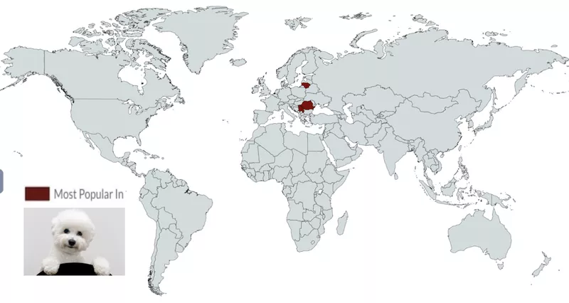 Bichon Frise map