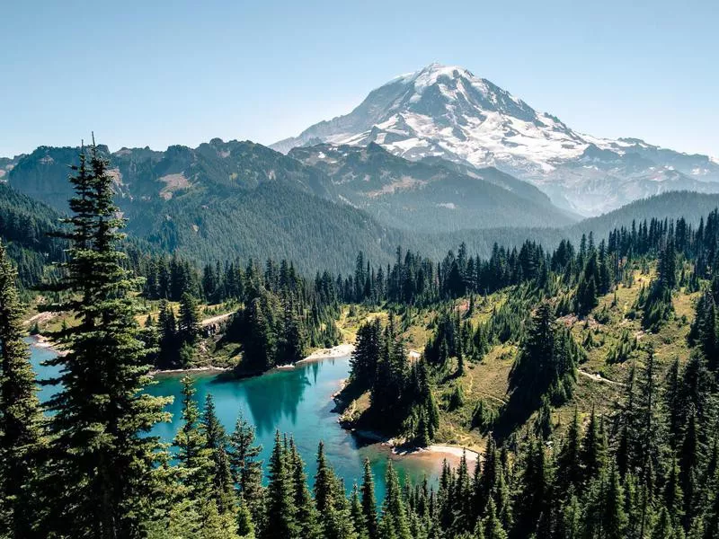 Mount Rainier river