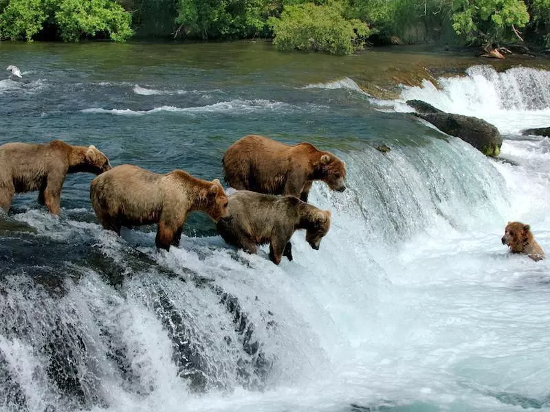 Katmai