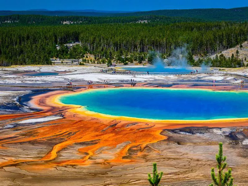 Yellowstone Grand Prismatic Spring