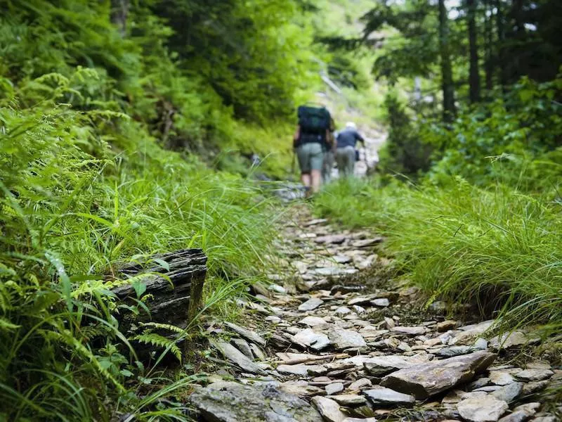 Hiking in the Great Smoky Mountains