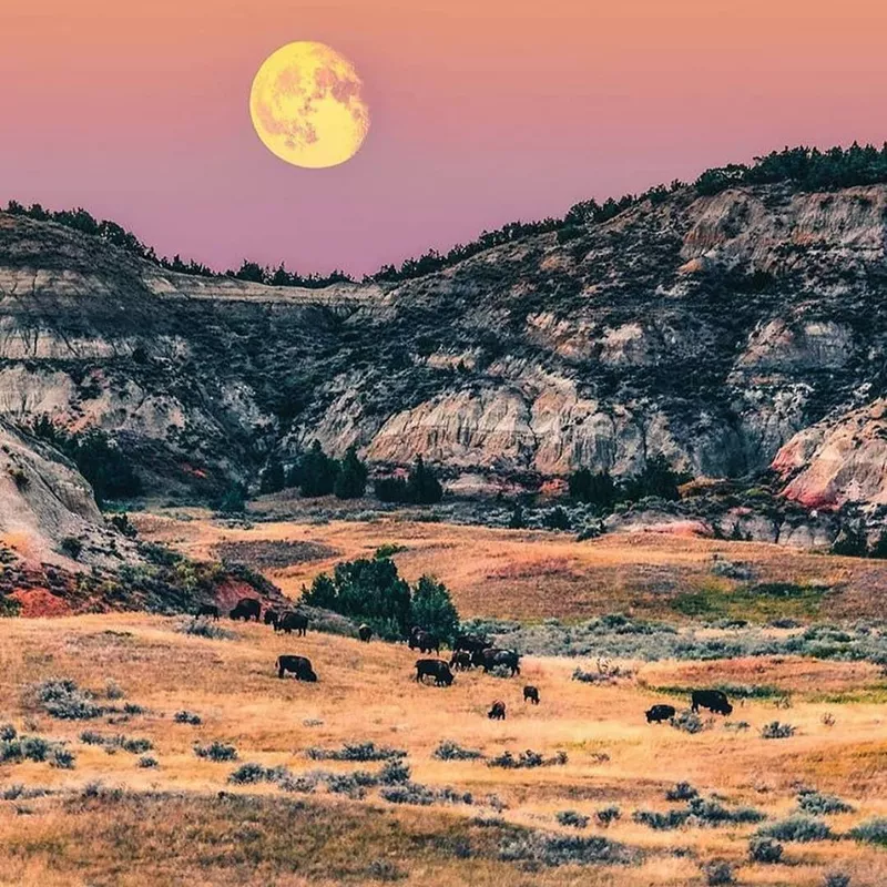 Theodore Roosevelt National Park