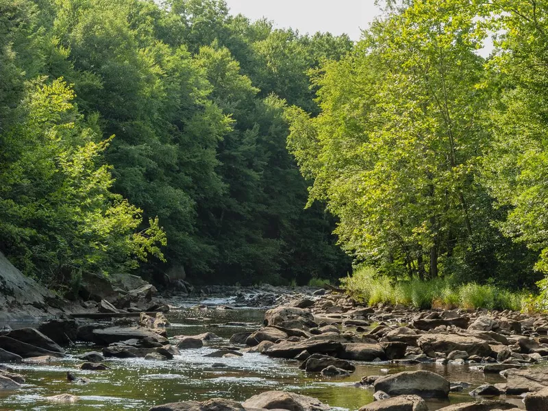 Placid river in Blackstone Gorge in early summer