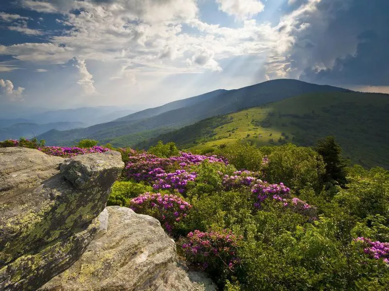 Appalachian Trail in Tennessee