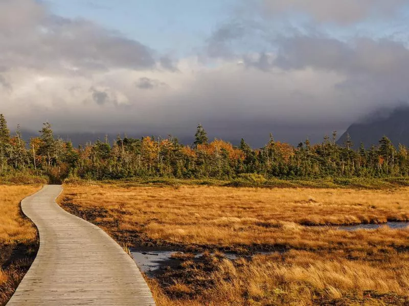 Gros Morne National Park