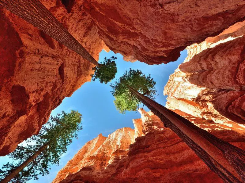 Bryce Canyon National Park, Utah