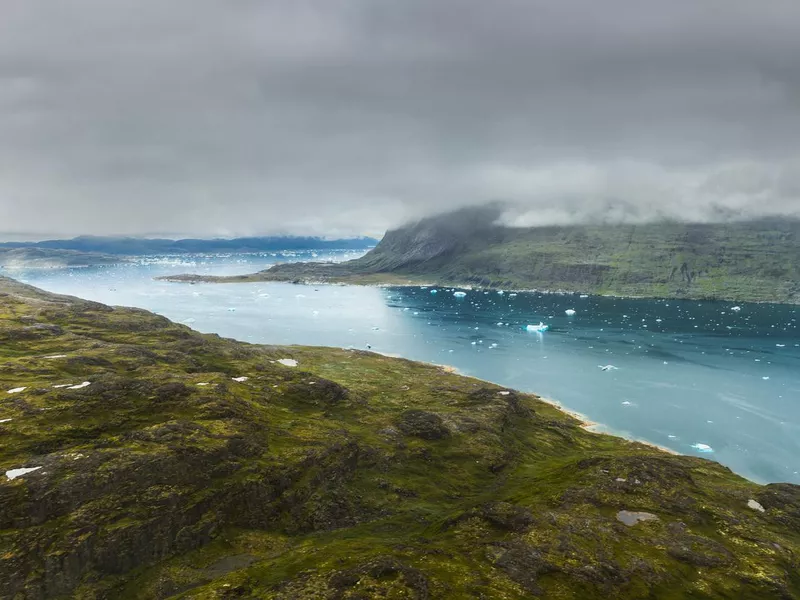 Greenland Bay, icebergs in the ocean during summer