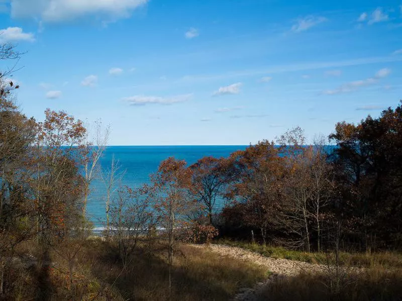 Indiana Dunes