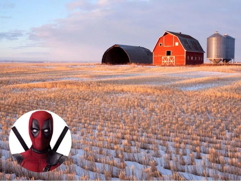 Deadpool comes from Regina, Canada