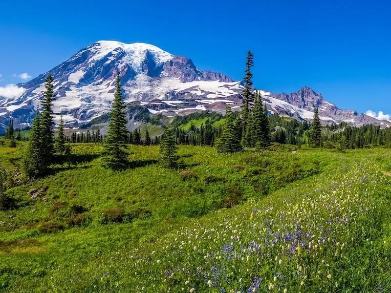 Mount Rainier