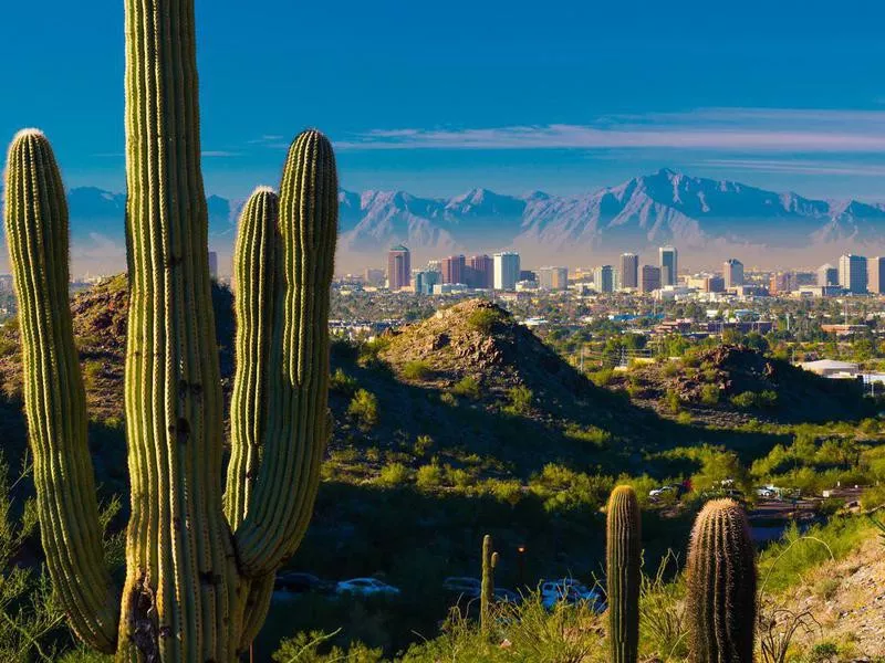 saguaros and mountains in phoenix, arizona