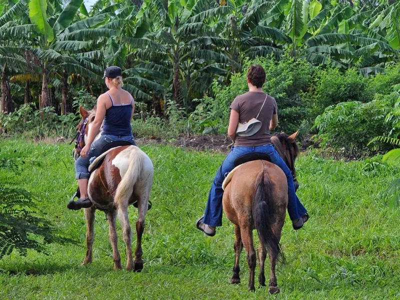 Campo Rico horseback riding