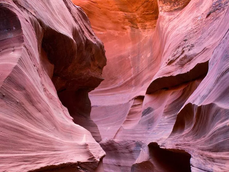 Utah Wilderness Canyon