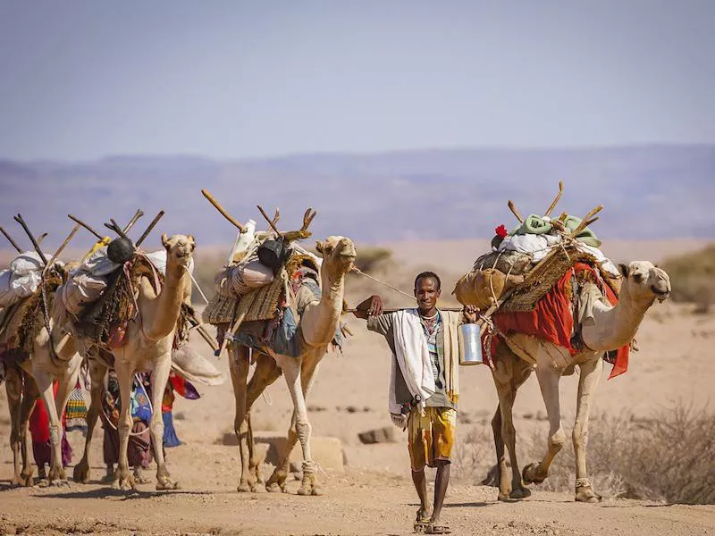 Djibouti