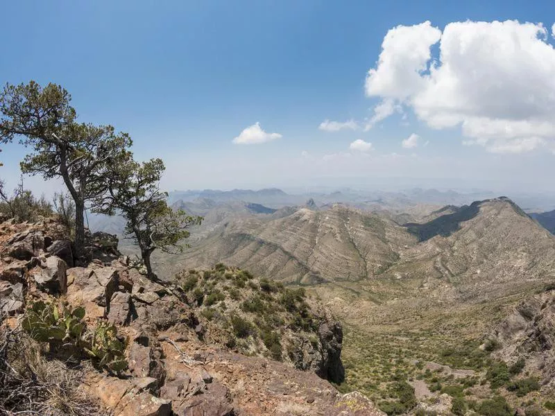 texas Chisos Basin Campground